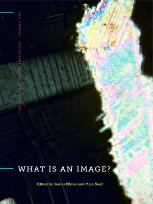 cover image of What Is an Image?